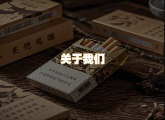 关于蓝帝网
